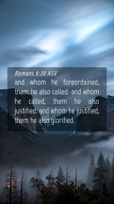 Picture 04 - Romans 8:30 ASV Mobile Phone Wallpaper - and whom he foreordained, them he also called: - Mobile Bible Verse Wallpaper