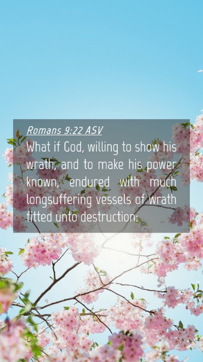Picture 04 - Romans 9:22 ASV Mobile Phone Wallpaper - What if God, willing to show his wrath, and to - Mobile Bible Verse Wallpaper