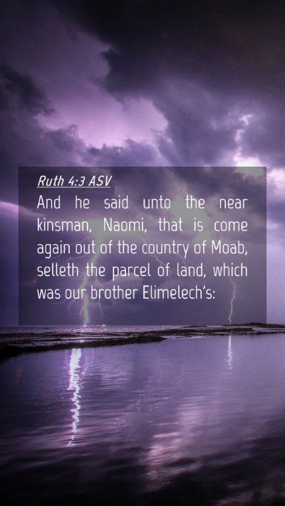 Picture 04 - Ruth 4:3 ASV Mobile Phone Wallpaper - And he said unto the near kinsman, Naomi, that is - Mobile Bible Verse Wallpaper