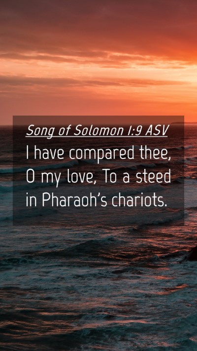 Picture 04 - Song of Solomon 1:9 ASV Mobile Phone Wallpaper - I have compared thee, O my love, To a steed in - Mobile Bible Verse Wallpaper