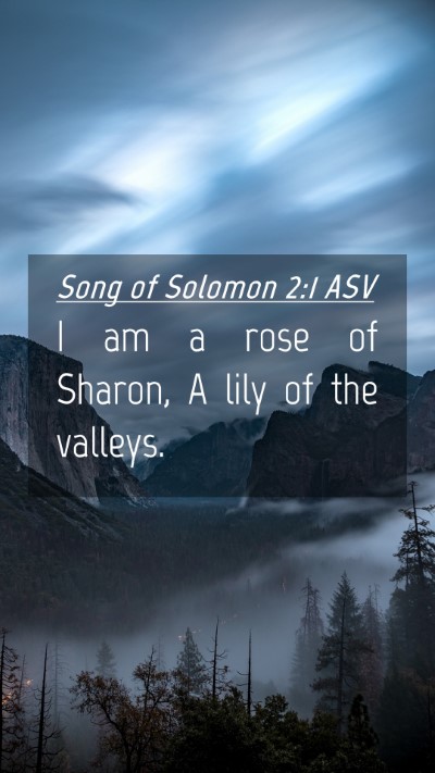 Picture 04 - Song of Solomon 2:1 ASV Mobile Phone Wallpaper - I am a rose of Sharon, A lily of the - Mobile Bible Verse Wallpaper
