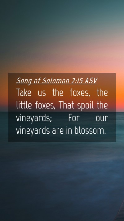 Picture 04 - Song of Solomon 2:15 ASV Mobile Phone Wallpaper - Take us the foxes, the little foxes, That spoil - Mobile Bible Verse Wallpaper