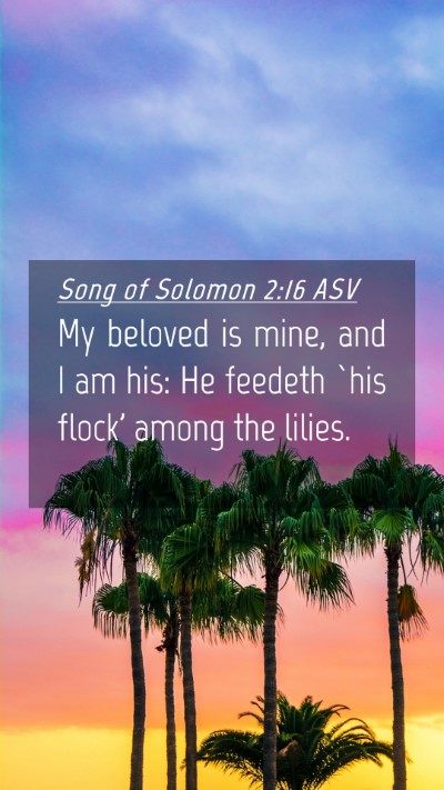 Picture 04 - Song of Solomon 2:16 ASV Mobile Phone Wallpaper - My beloved is mine, and I am his: He feedeth `his - Mobile Bible Verse Wallpaper