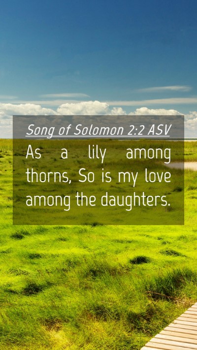 Picture 04 - Song of Solomon 2:2 ASV Mobile Phone Wallpaper - As a lily among thorns, So is my love among the - Mobile Bible Verse Wallpaper