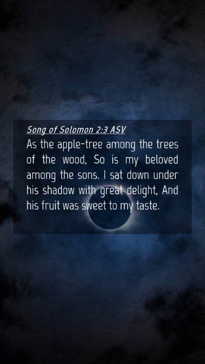Picture 04 - Song of Solomon 2:3 ASV Mobile Phone Wallpaper - As the apple-tree among the trees of the wood, So - Mobile Bible Verse Wallpaper