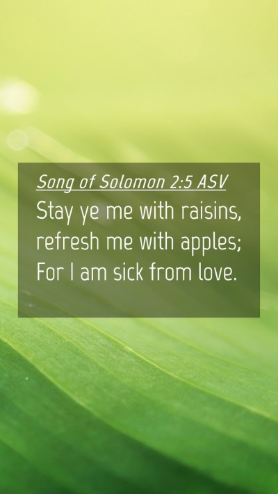 Picture 04 - Song of Solomon 2:5 ASV Mobile Phone Wallpaper - Stay ye me with raisins, refresh me with apples; - Mobile Bible Verse Wallpaper