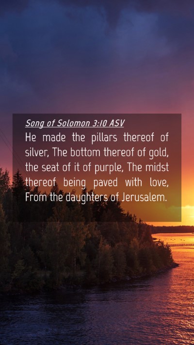 Picture 04 - Song of Solomon 3:10 ASV Mobile Phone Wallpaper - He made the pillars thereof of silver, The bottom - Mobile Bible Verse Wallpaper