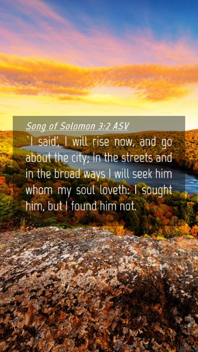 Picture 04 - Song of Solomon 3:2 ASV Mobile Phone Wallpaper - `I said', I will rise now, and go about the city; - Mobile Bible Verse Wallpaper