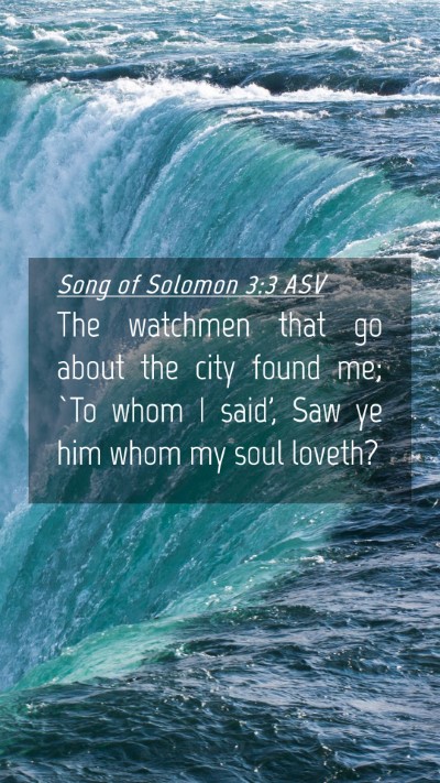Picture 04 - Song of Solomon 3:3 ASV Mobile Phone Wallpaper - The watchmen that go about the city found me; `To - Mobile Bible Verse Wallpaper