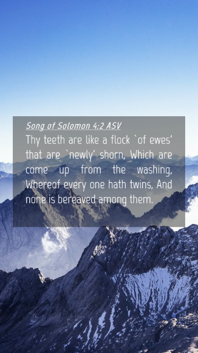Picture 04 - Song of Solomon 4:2 ASV Mobile Phone Wallpaper - Thy teeth are like a flock `of ewes' that are - Mobile Bible Verse Wallpaper