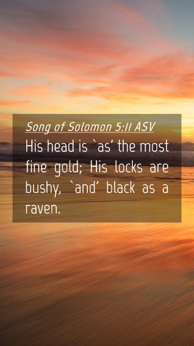 Picture 04 - Song of Solomon 5:11 ASV Mobile Phone Wallpaper - His head is `as' the most fine gold; His locks - Mobile Bible Verse Wallpaper
