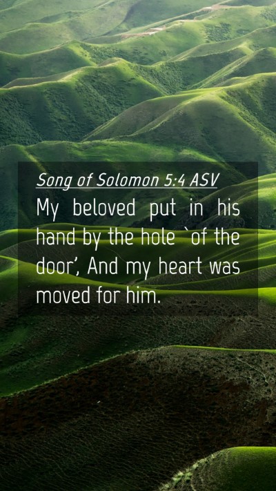 Picture 04 - Song of Solomon 5:4 ASV Mobile Phone Wallpaper - My beloved put in his hand by the hole `of the - Mobile Bible Verse Wallpaper