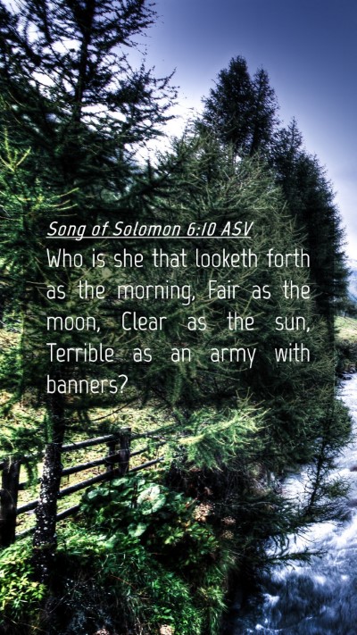 Picture 04 - Song of Solomon 6:10 ASV Mobile Phone Wallpaper - Who is she that looketh forth as the morning, - Mobile Bible Verse Wallpaper
