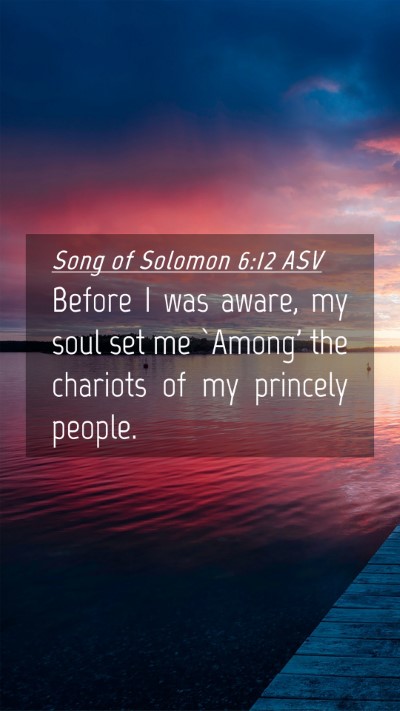 Picture 04 - Song of Solomon 6:12 ASV Mobile Phone Wallpaper - Before I was aware, my soul set me `Among' the - Mobile Bible Verse Wallpaper