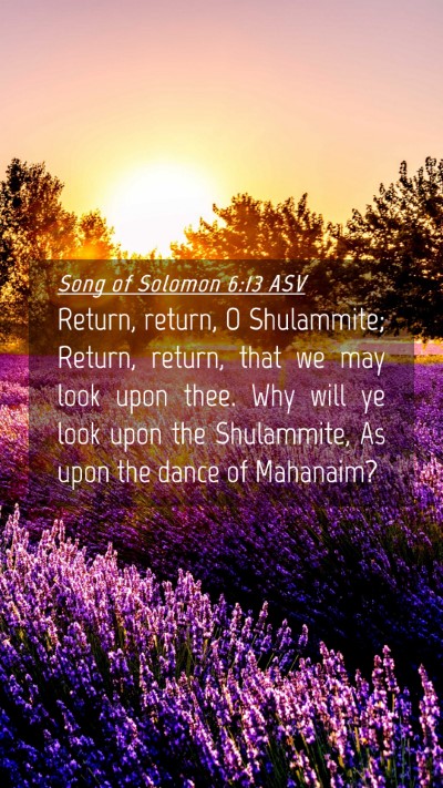 Picture 04 - Song of Solomon 6:13 ASV Mobile Phone Wallpaper - Return, return, O Shulammite; Return, return, - Mobile Bible Verse Wallpaper