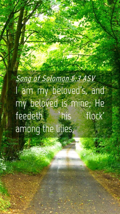 Picture 04 - Song of Solomon 6:3 ASV Mobile Phone Wallpaper - I am my beloved's, and my beloved is mine; He - Mobile Bible Verse Wallpaper