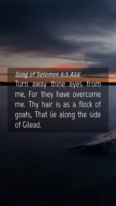 Picture 04 - Song of Solomon 6:5 ASV Mobile Phone Wallpaper - Turn away thine eyes from me, For they have - Mobile Bible Verse Wallpaper
