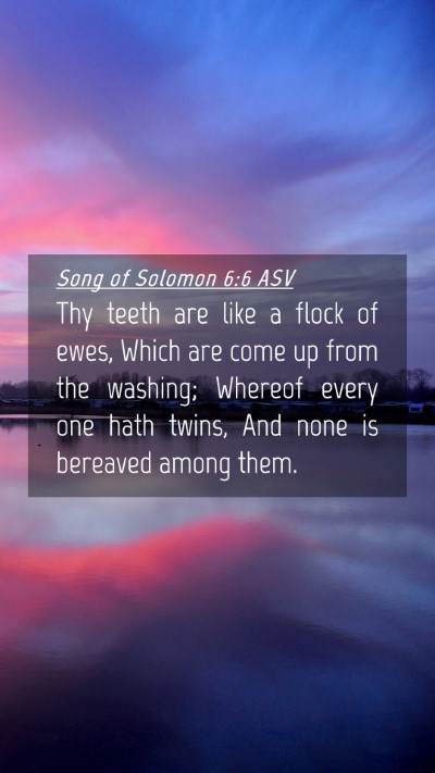 Picture 04 - Song of Solomon 6:6 ASV Mobile Phone Wallpaper - Thy teeth are like a flock of ewes, Which are - Mobile Bible Verse Wallpaper