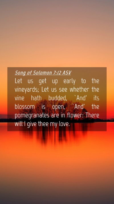 Picture 04 - Song of Solomon 7:12 ASV Mobile Phone Wallpaper - Let us get up early to the vineyards; Let us see - Mobile Bible Verse Wallpaper