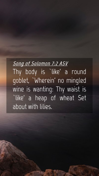 Picture 04 - Song of Solomon 7:2 ASV Mobile Phone Wallpaper - Thy body is `like' a round goblet, `Wherein' no - Mobile Bible Verse Wallpaper