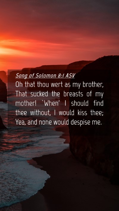 Picture 04 - Song of Solomon 8:1 ASV Mobile Phone Wallpaper - Oh that thou wert as my brother, That sucked the - Mobile Bible Verse Wallpaper