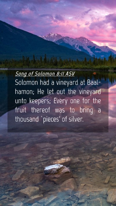 Picture 04 - Song of Solomon 8:11 ASV Mobile Phone Wallpaper - Solomon had a vineyard at Baal-hamon; He let out - Mobile Bible Verse Wallpaper