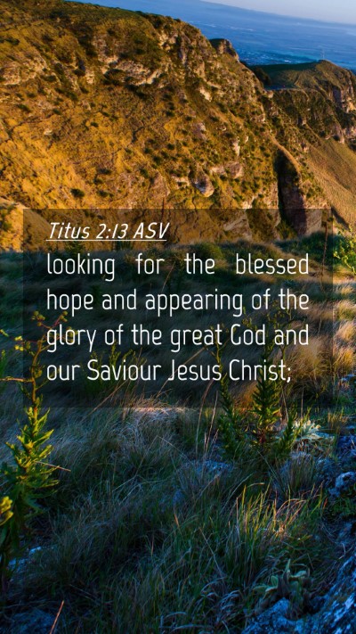 Picture 04 - Titus 2:13 ASV Mobile Phone Wallpaper - looking for the blessed hope and appearing of the - Mobile Bible Verse Wallpaper