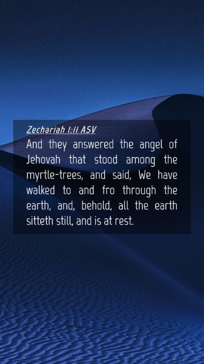 Picture 04 - Zechariah 1:11 ASV Mobile Phone Wallpaper - And they answered the angel of Jehovah that stood - Mobile Bible Verse Wallpaper