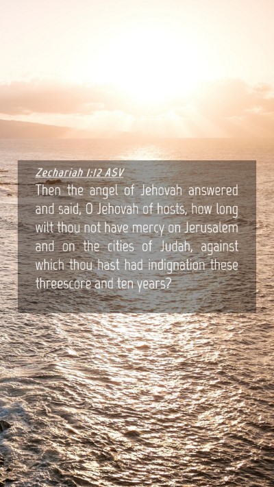 Picture 04 - Zechariah 1:12 ASV Mobile Phone Wallpaper - Then the angel of Jehovah answered and said, O - Mobile Bible Verse Wallpaper