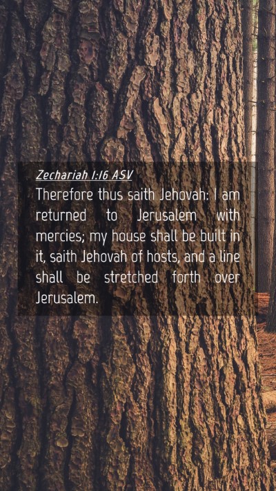 Picture 04 - Zechariah 1:16 ASV Mobile Phone Wallpaper - Therefore thus saith Jehovah: I am returned to - Mobile Bible Verse Wallpaper