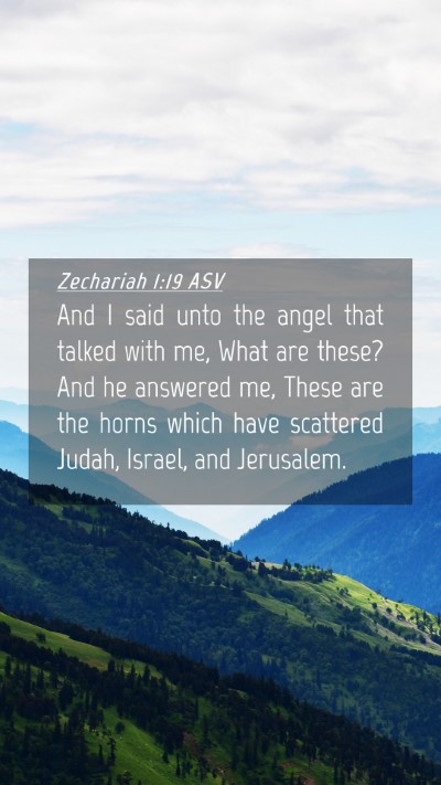 Picture 04 - Zechariah 1:19 ASV Mobile Phone Wallpaper - And I said unto the angel that talked with me, - Mobile Bible Verse Wallpaper