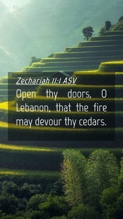 Picture 04 - Zechariah 11:1 ASV Mobile Phone Wallpaper - Open thy doors, O Lebanon, that the fire may - Mobile Bible Verse Wallpaper