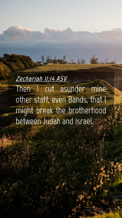 Picture 04 - Zechariah 11:14 ASV Mobile Phone Wallpaper - Then I cut asunder mine other staff, even Bands, - Mobile Bible Verse Wallpaper