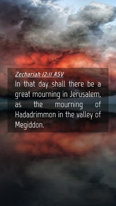 Picture 04 - Zechariah 12:11 ASV Mobile Phone Wallpaper - In that day shall there be a great mourning in - Mobile Bible Verse Wallpaper