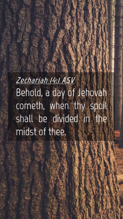 Picture 04 - Zechariah 14:1 ASV Mobile Phone Wallpaper - Behold, a day of Jehovah cometh, when thy spoil - Mobile Bible Verse Wallpaper