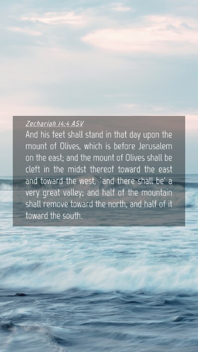 Picture 04 - Zechariah 14:4 ASV Mobile Phone Wallpaper - And his feet shall stand in that day upon the - Mobile Bible Verse Wallpaper