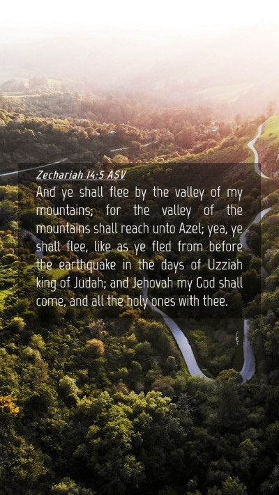 Picture 04 - Zechariah 14:5 ASV Mobile Phone Wallpaper - And ye shall flee by the valley of my mountains; - Mobile Bible Verse Wallpaper