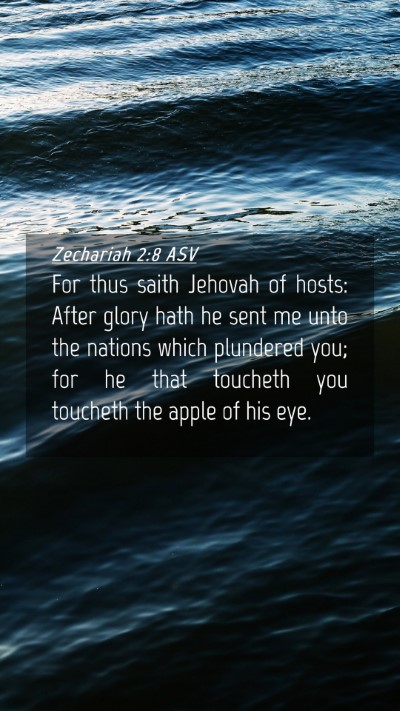 Picture 04 - Zechariah 2:8 ASV Mobile Phone Wallpaper - For thus saith Jehovah of hosts: After glory hath - Mobile Bible Verse Wallpaper