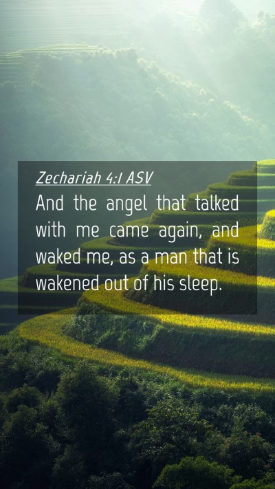 Picture 04 - Zechariah 4:1 ASV Mobile Phone Wallpaper - And the angel that talked with me came again, and - Mobile Bible Verse Wallpaper