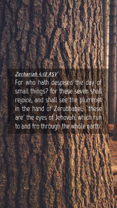 Picture 04 - Zechariah 4:10 ASV Mobile Phone Wallpaper - For who hath despised the day of small things? - Mobile Bible Verse Wallpaper