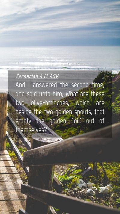 Picture 04 - Zechariah 4:12 ASV Mobile Phone Wallpaper - And I answered the second time, and said unto - Mobile Bible Verse Wallpaper
