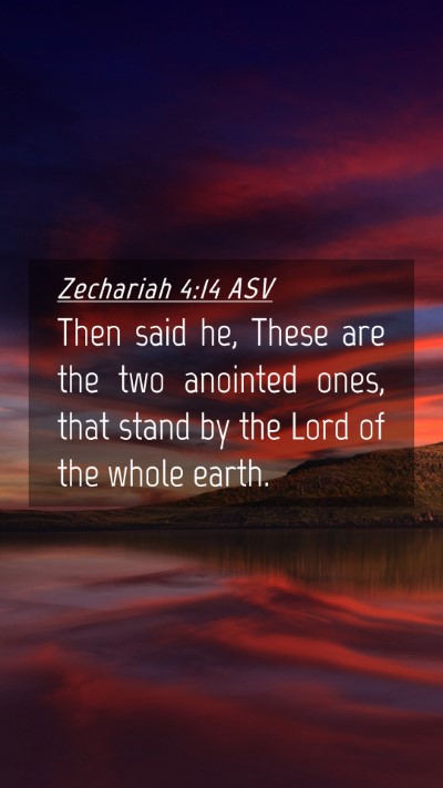 Picture 04 - Zechariah 4:14 ASV Mobile Phone Wallpaper - Then said he, These are the two anointed ones, - Mobile Bible Verse Wallpaper
