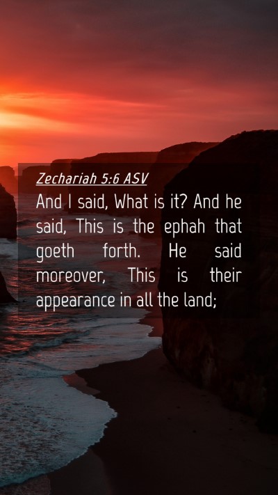 Picture 04 - Zechariah 5:6 ASV Mobile Phone Wallpaper - And I said, What is it? And he said, This is the - Mobile Bible Verse Wallpaper