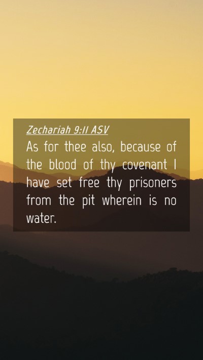 Picture 04 - Zechariah 9:11 ASV Mobile Phone Wallpaper - As for thee also, because of the blood of thy - Mobile Bible Verse Wallpaper