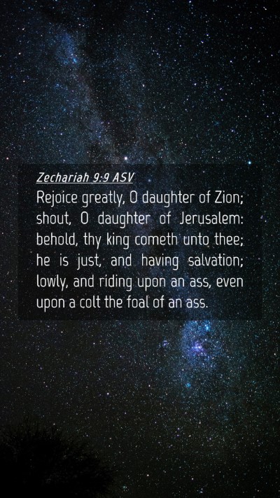 Picture 04 - Zechariah 9:9 ASV Mobile Phone Wallpaper - Rejoice greatly, O daughter of Zion; shout, O - Mobile Bible Verse Wallpaper
