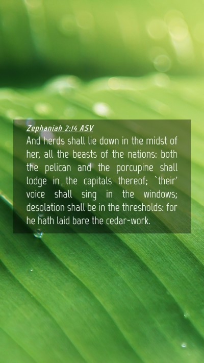 Picture 04 - Zephaniah 2:14 ASV Mobile Phone Wallpaper - And herds shall lie down in the midst of her, all - Mobile Bible Verse Wallpaper