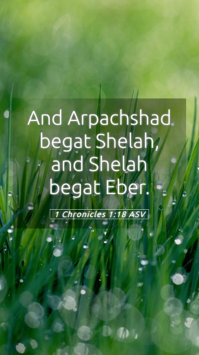 Picture 05 - 1 Chronicles 1:18 ASV Mobile Phone Wallpaper - And Arpachshad begat Shelah, and Shelah begat - Mobile Bible Verse Wallpaper