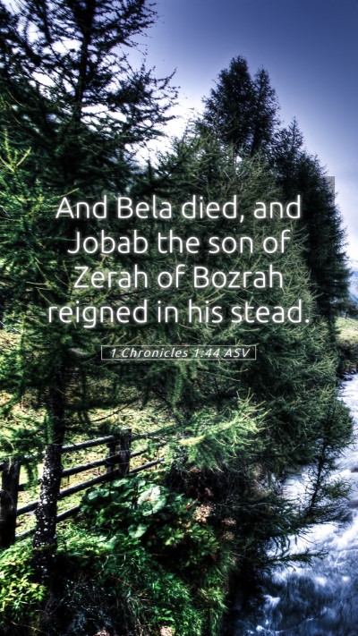 Picture 05 - 1 Chronicles 1:44 ASV Mobile Phone Wallpaper - And Bela died, and Jobab the son of Zerah of - Mobile Bible Verse Wallpaper