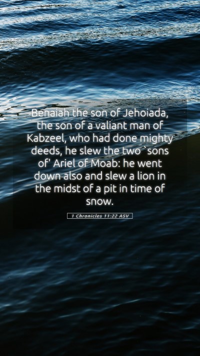 Picture 05 - 1 Chronicles 11:22 ASV Mobile Phone Wallpaper - Benaiah the son of Jehoiada, the son of a valiant - Mobile Bible Verse Wallpaper
