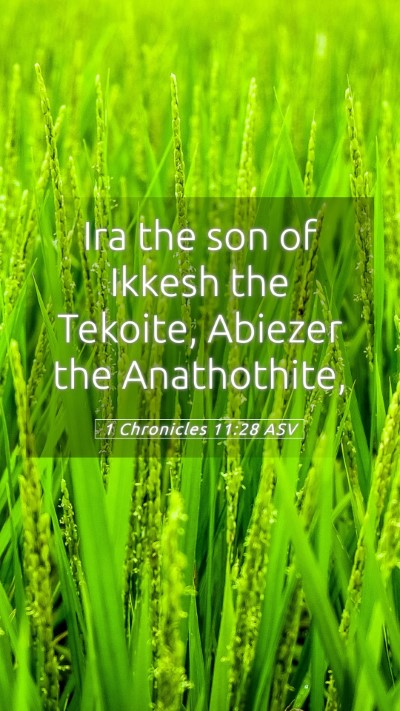 Picture 05 - 1 Chronicles 11:28 ASV Mobile Phone Wallpaper - Ira the son of Ikkesh the Tekoite, Abiezer the - Mobile Bible Verse Wallpaper